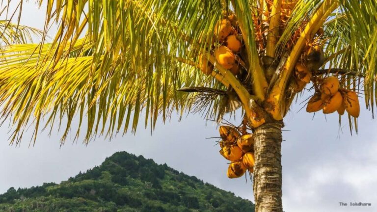 खेल-खेल में हुआ हादसा