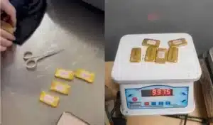 दिल्ली एयरपोर्ट पर महिला के अंडरगारमेंट में मिला 1 किलो सोना, सोने की ईटों के साथ गिरफ्तार!