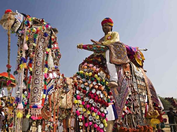 23 करोड़ का ‘अनमोल’ भैंसा