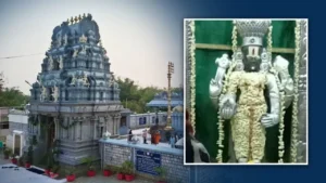 एकादशी पर मातम